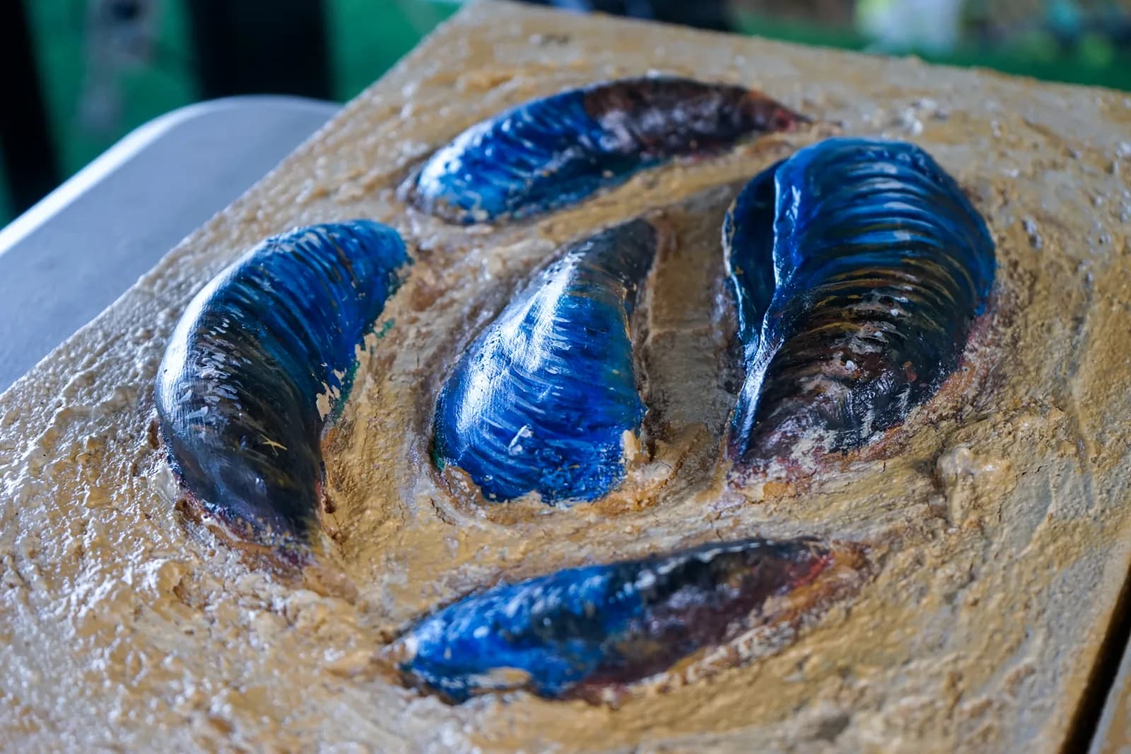 Blue mussels in glossy relief on a sculpted board