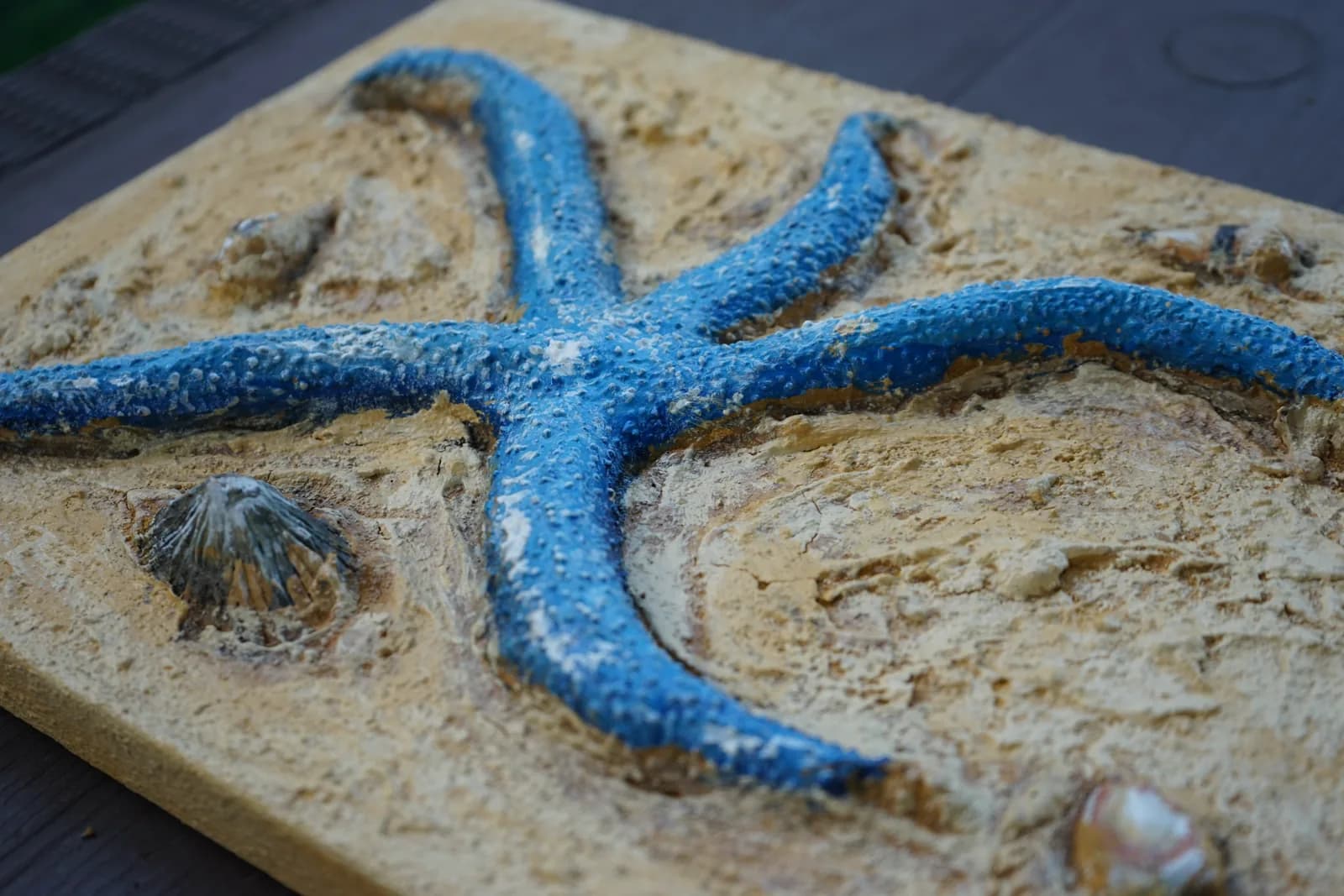 Close detail of a blue starfish relief