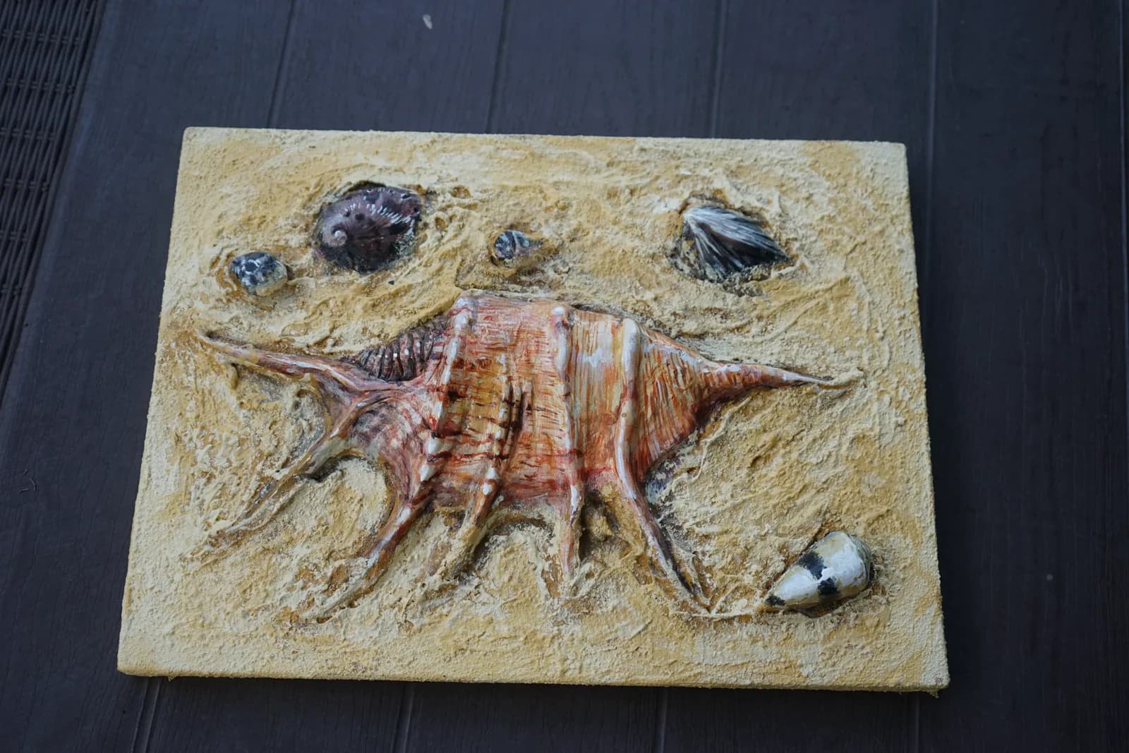 Conch shell relief framed by shells on a sandy board