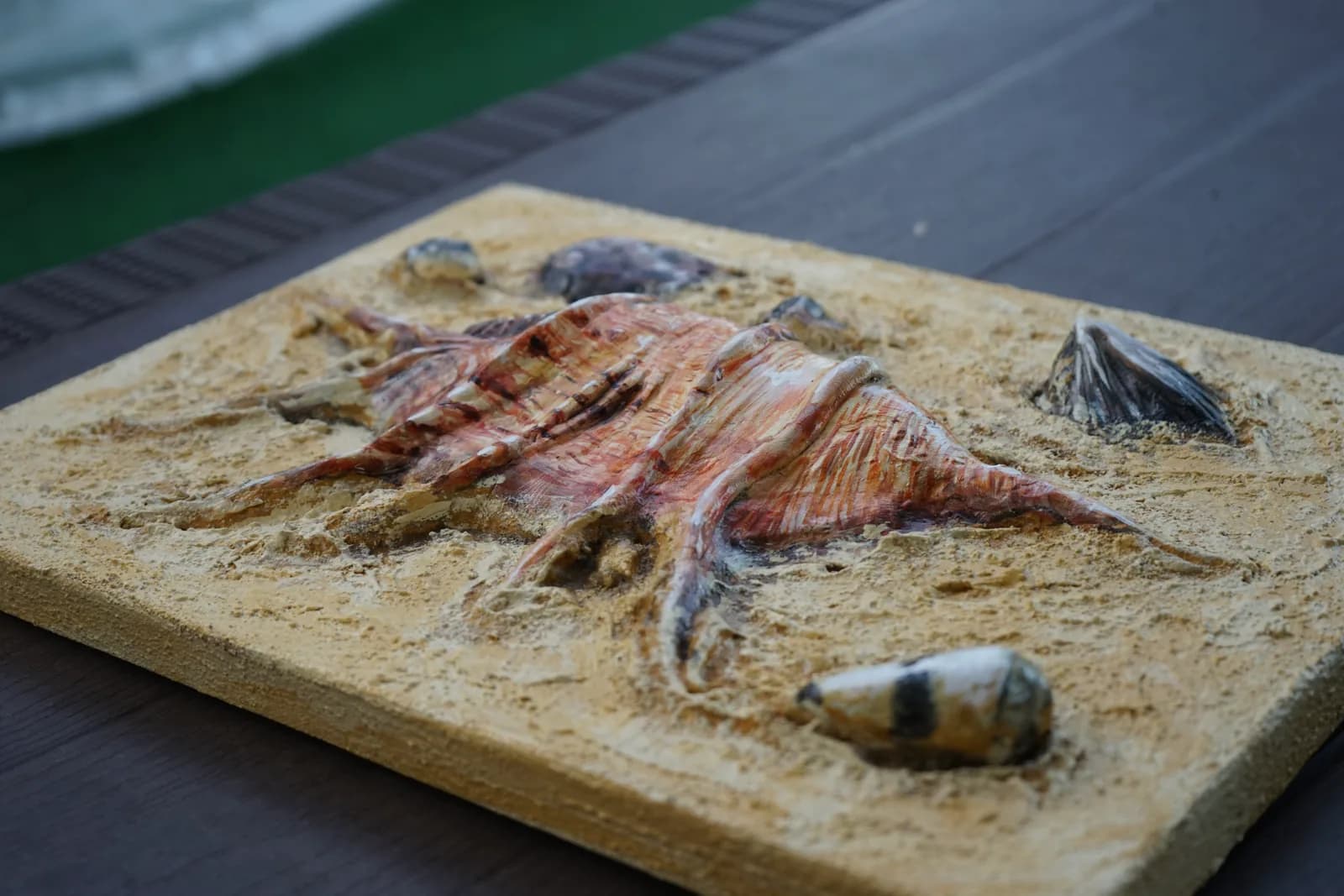 Orange conch shell in relief, angled on a dark table