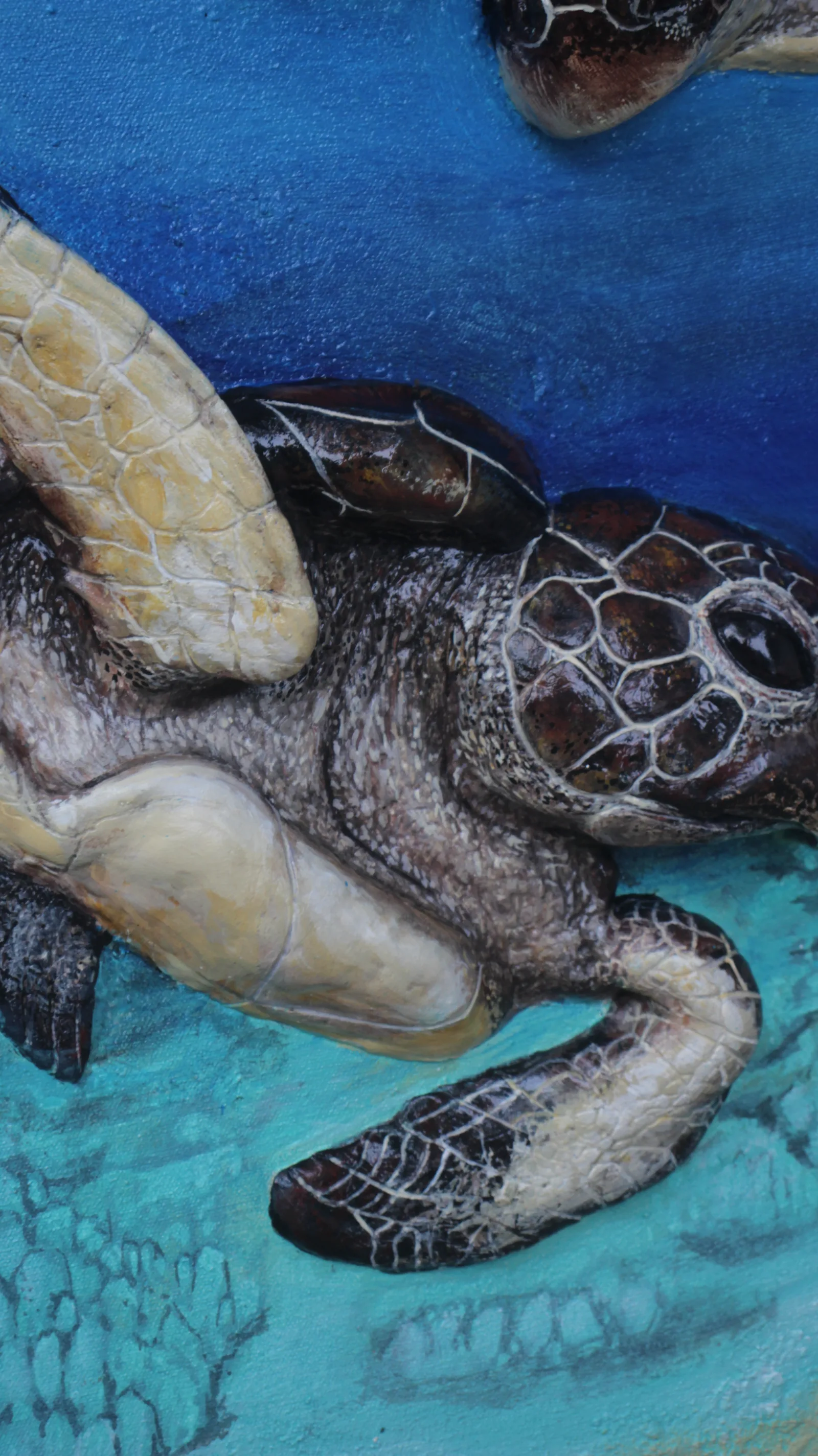 Close detail of two sea turtles gliding over reef