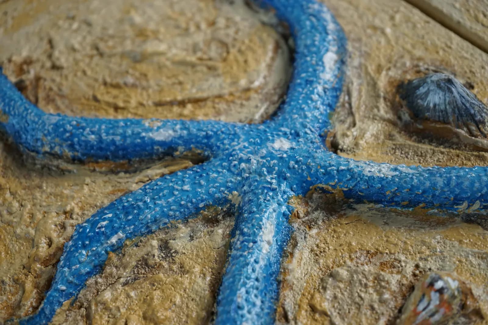 Blue starfish relief seen up close